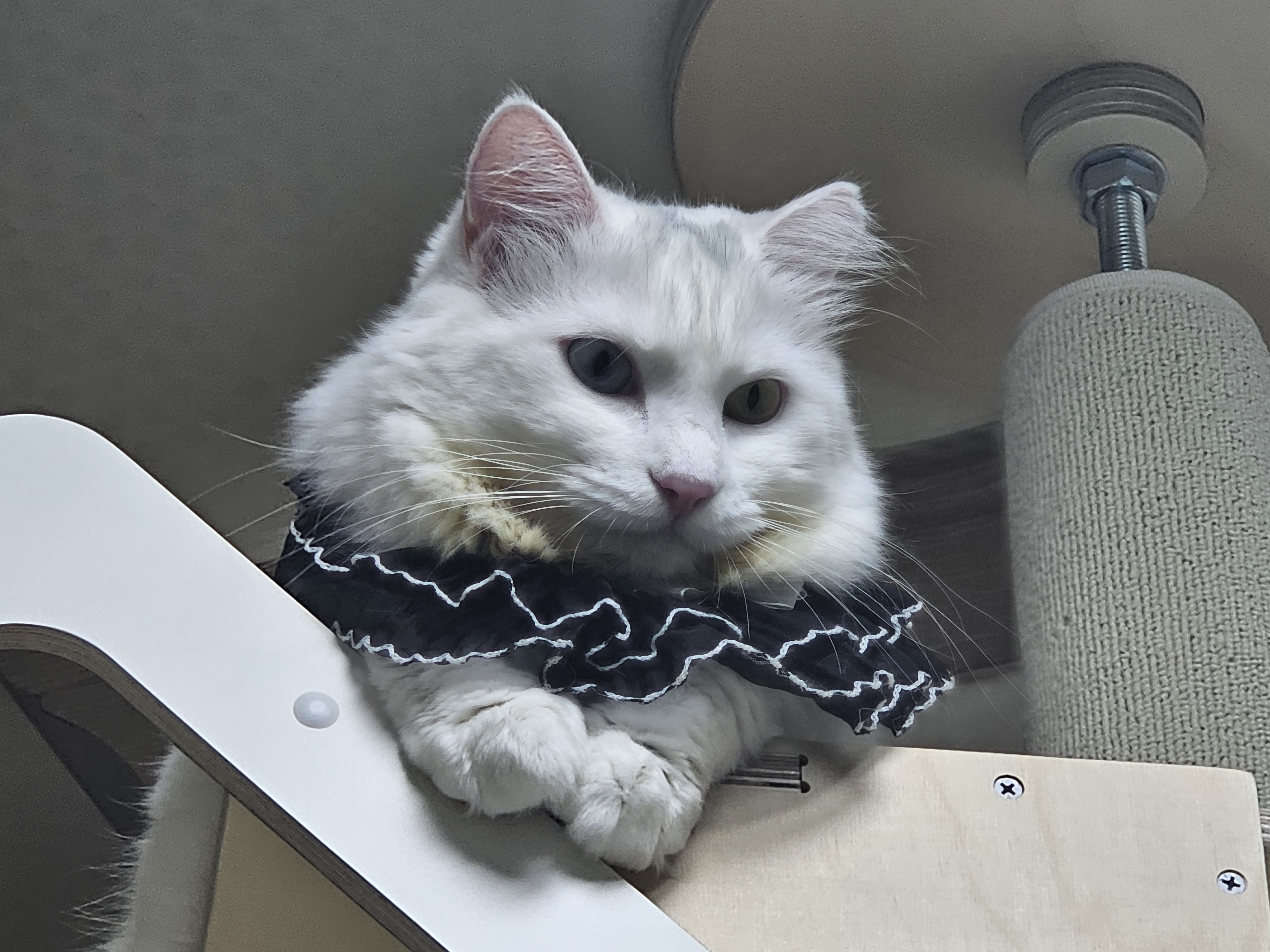 부모님 설 명절 한우선물세트 1+등급 소고기 등심 채끝 구이용 선물 포장